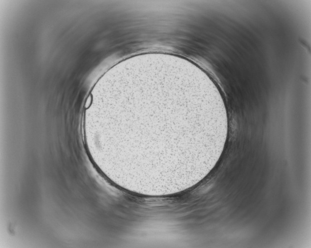 X0000102391391200808291414