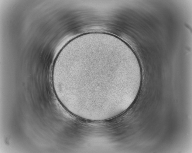 X0000102391392200808291414