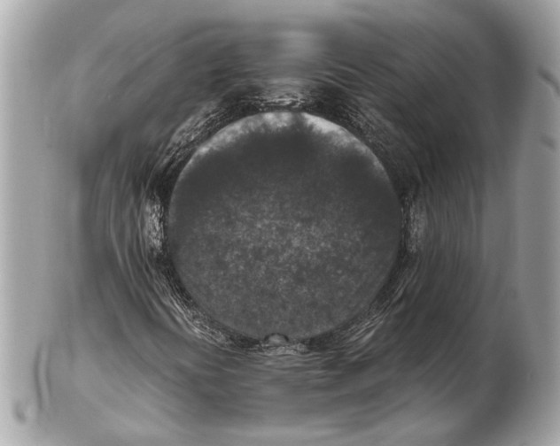 X0000102391394200808291413