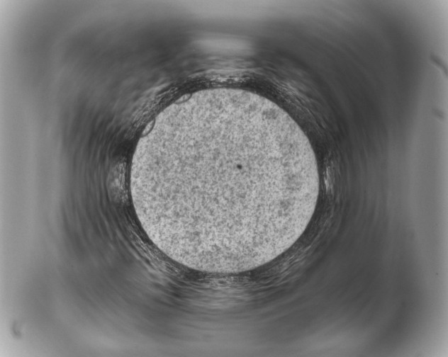 X0000102391396200808291413
