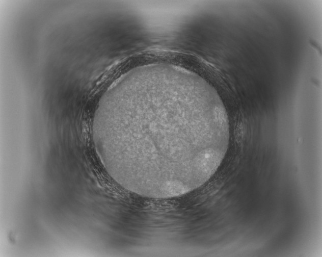 X0000102391397200808291413
