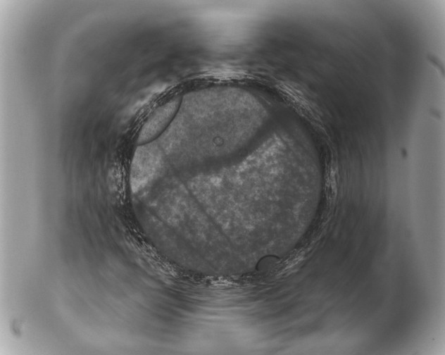 X0000102391398200808291413