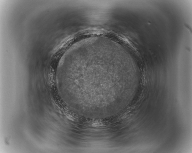 X0000102391399200808291413