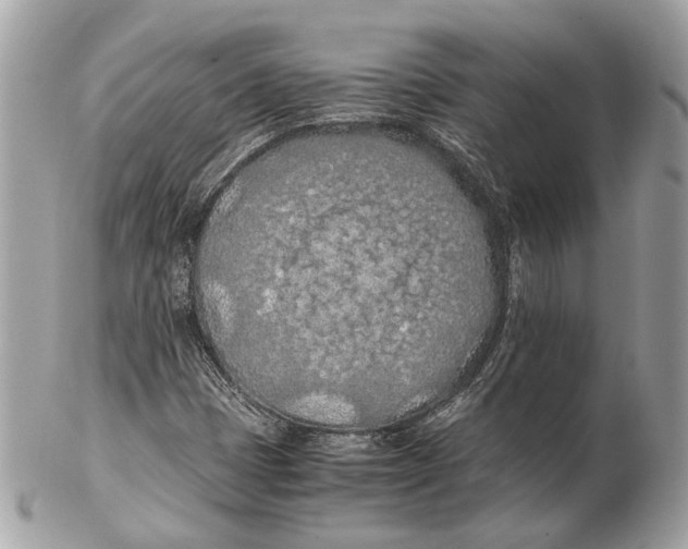 X0000102391401200808291413