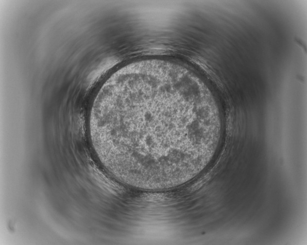 X0000102391402200808291413