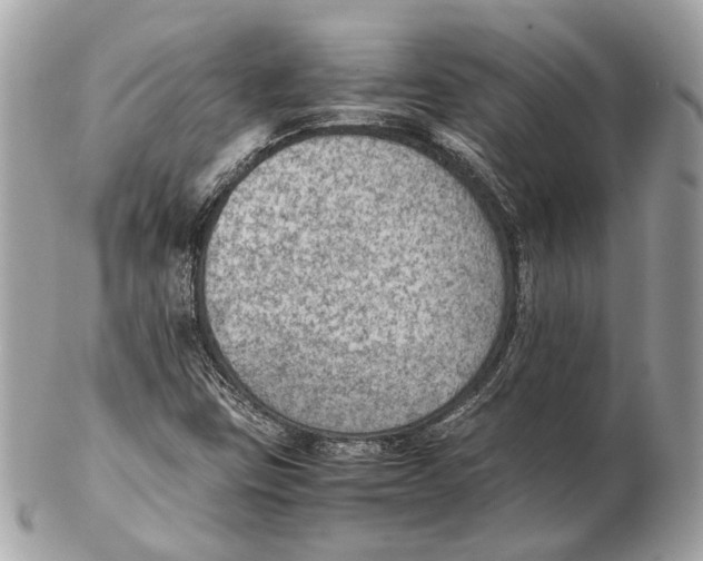 X0000102391403200808291413