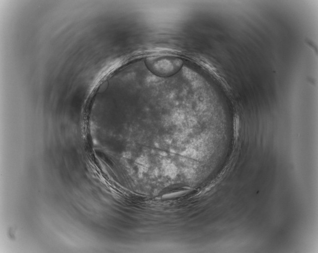 X0000102391405200808291413