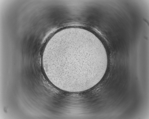 X0000102391408200808291413
