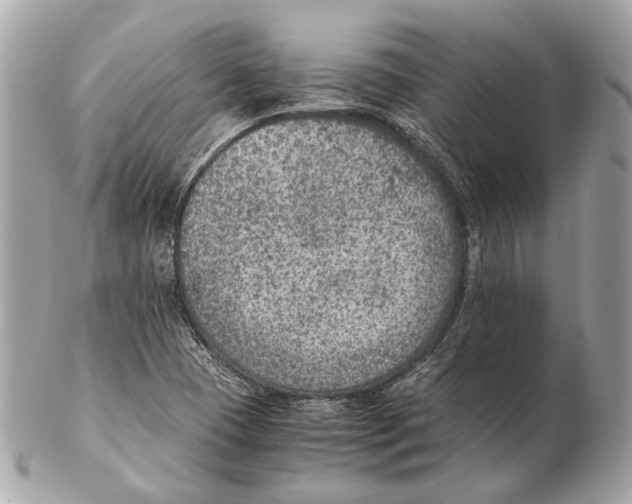 X0000102391409200808291413