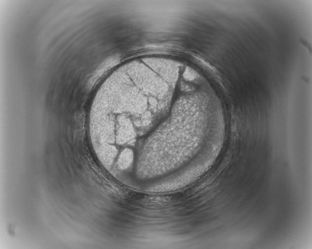 X0000102391411200808291413