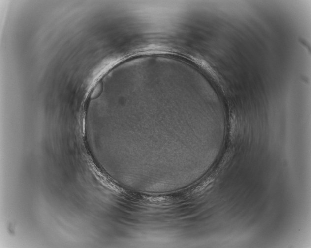 X0000102391413200808291413
