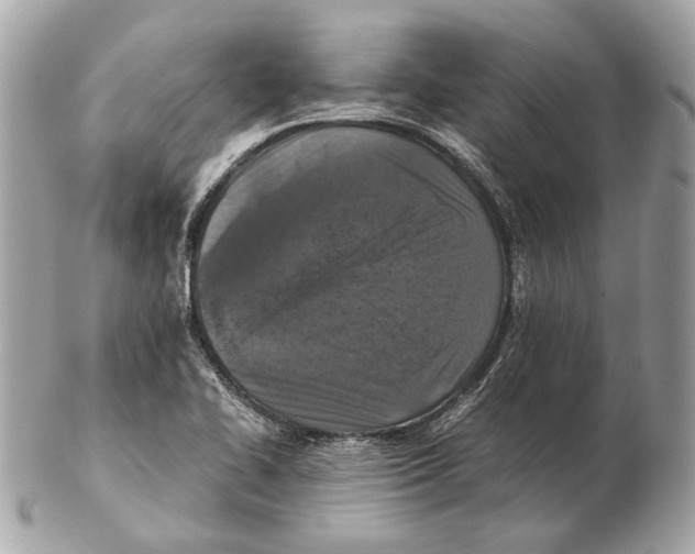 X0000102391414200808291413