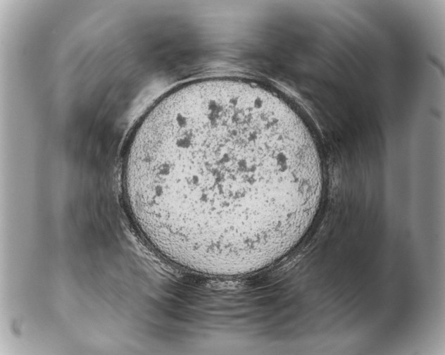 X0000102391415200808291413