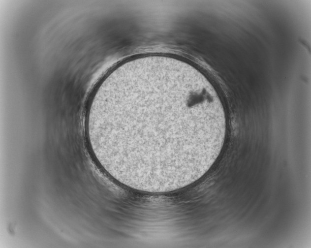 X0000102391416200808291413