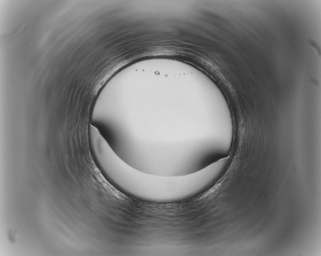 X0000102391417200808291413