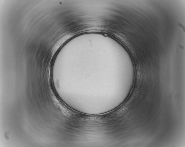 X0000102391418200808291413