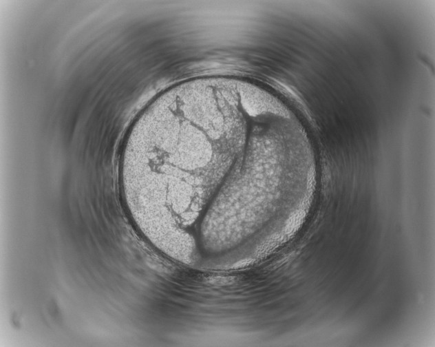 X0000102391419200808291413