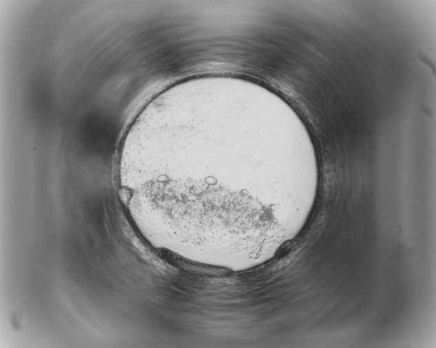 X0000102391421200808291413