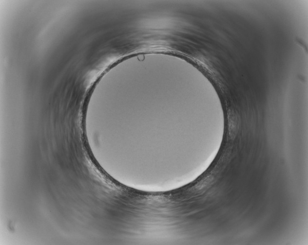 X0000102391422200808291413