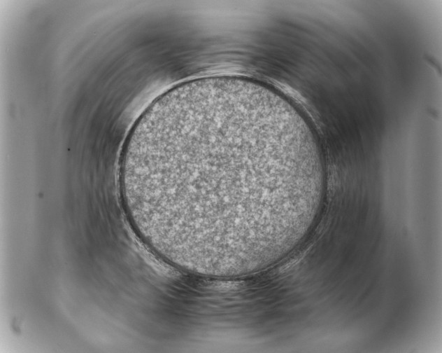 X0000102391423200808291413