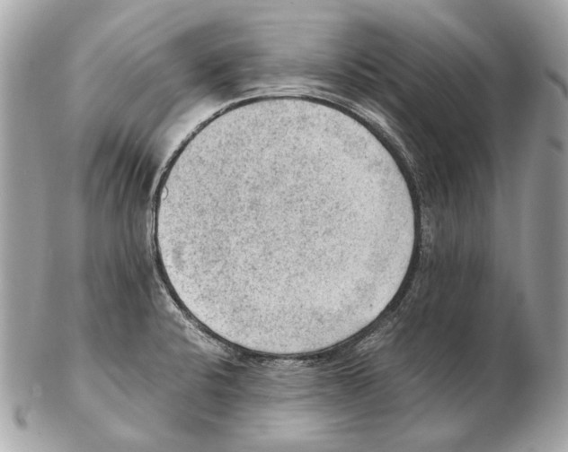 X0000102391424200808291413