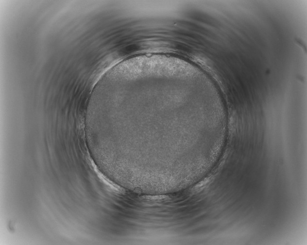 X0000102391425200808291413