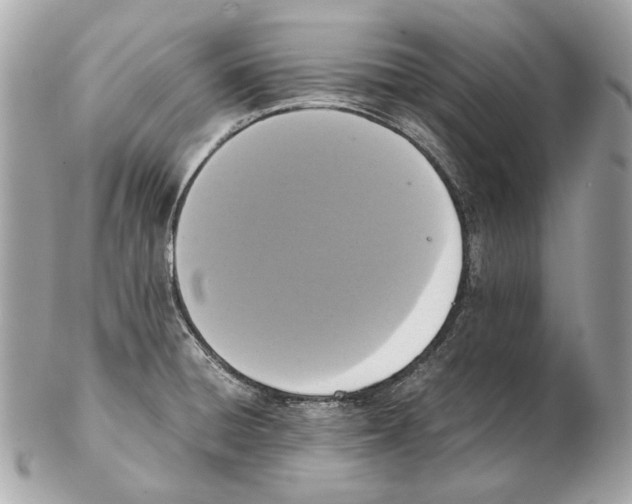 X0000102391428200808291413