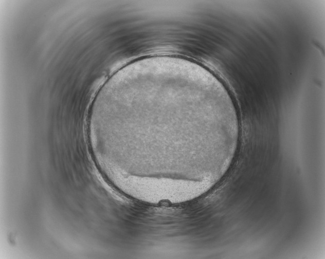 X0000102391429200808291414