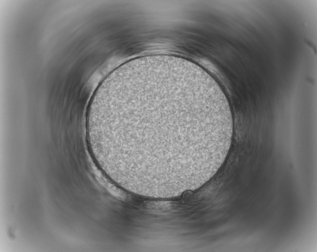 X0000102391431200808291414
