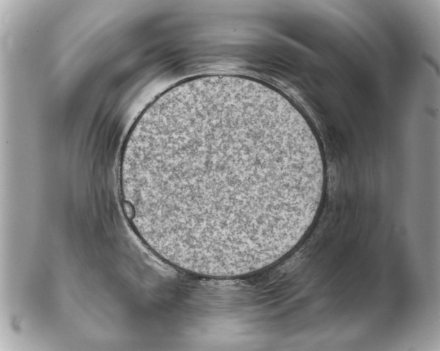 X0000102391432200808291414