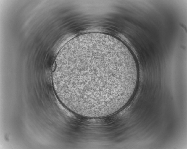 X0000102391433200808291414