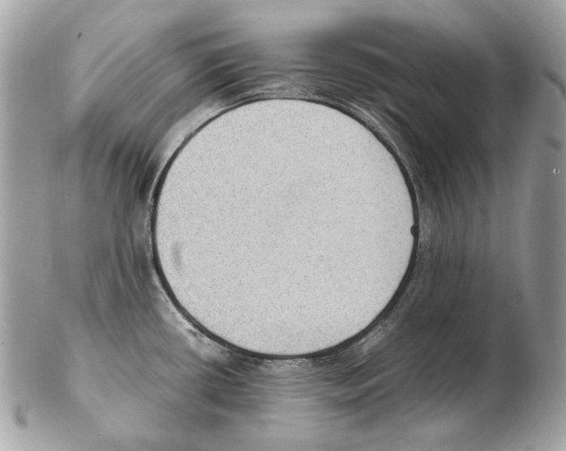 X0000102391434200808291414