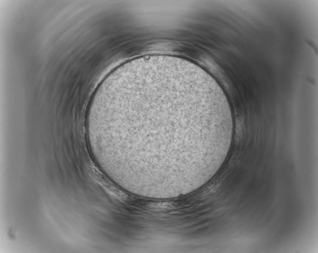 X0000102391435200808291414