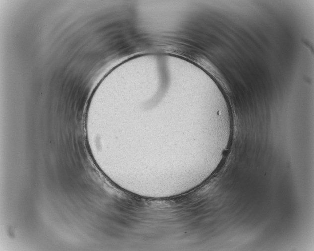 X0000102391436200808291414