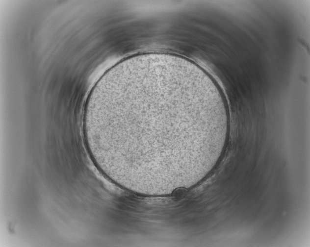 X0000102391437200808291414