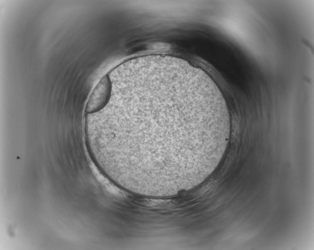 X0000102391439200808291414