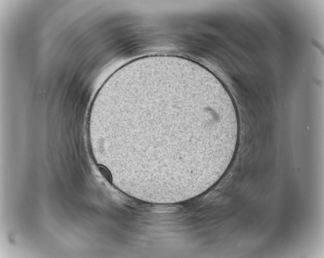 X0000102391440200808291414