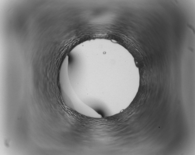 X0000102391441200808291413