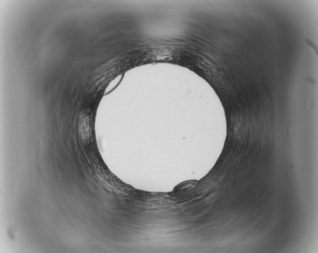 X0000102391442200808291413