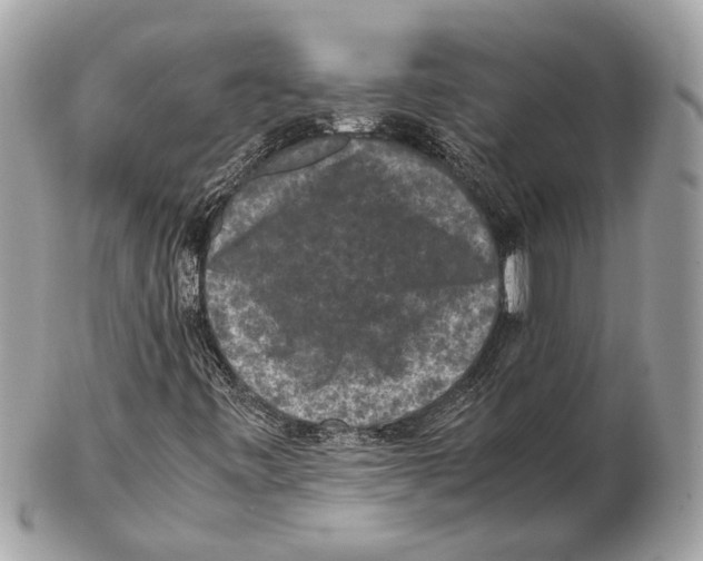 X0000102391443200808291413