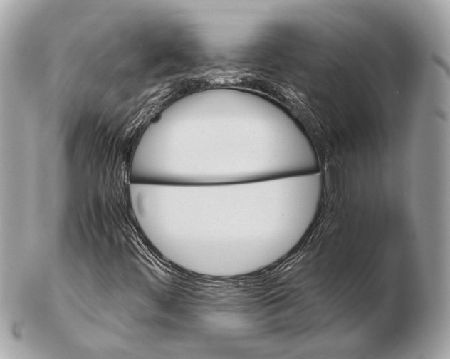 X0000102391444200808291413