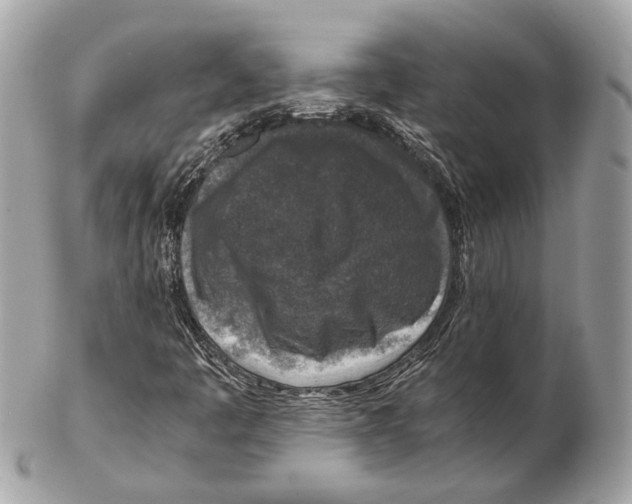 X0000102391445200808291413
