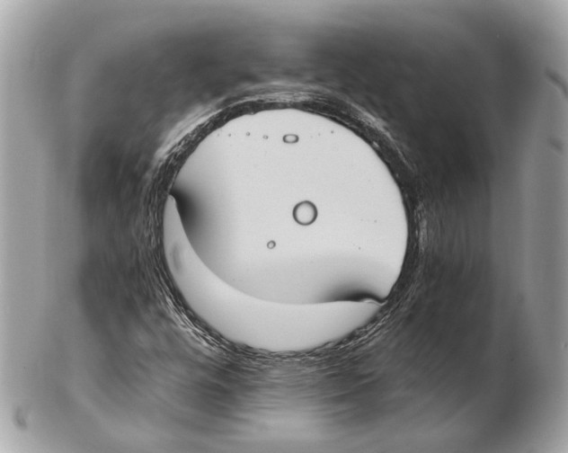 X0000102391448200808291413