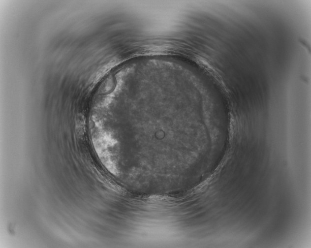 X0000102391449200808291413