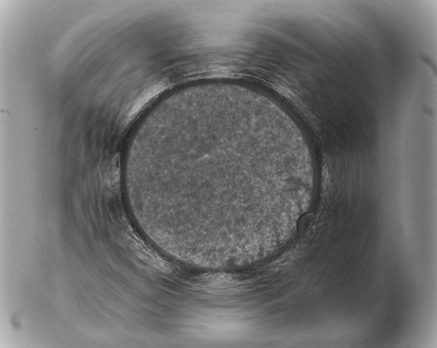 X0000102391450200808291413