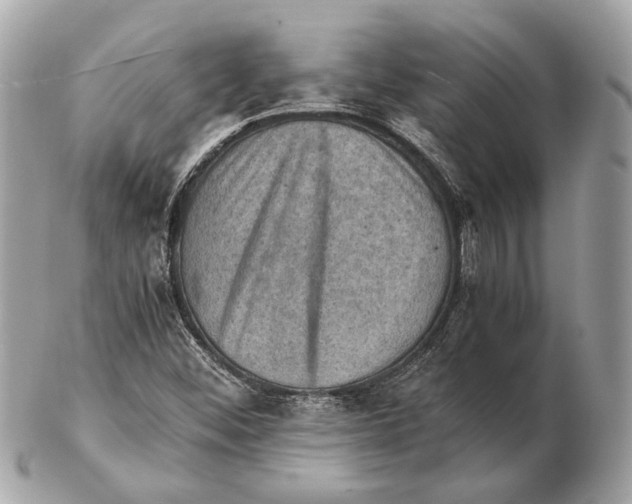 X0000102391452200808291413