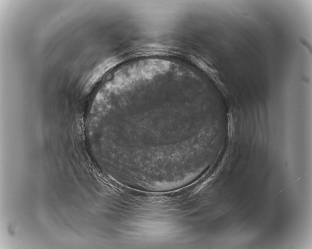 X0000102391453200808291413