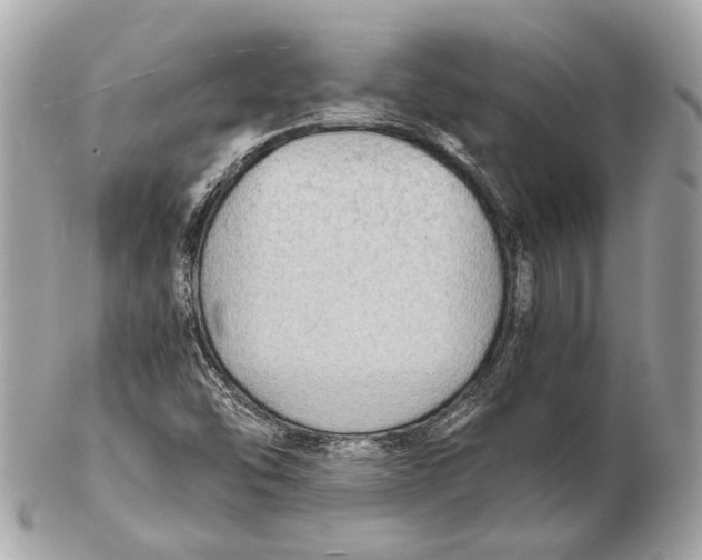 X0000102391454200808291413