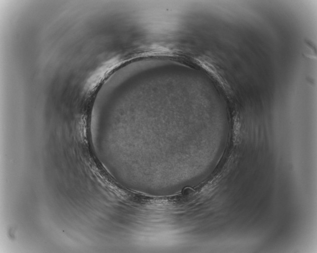 X0000102391455200808291413