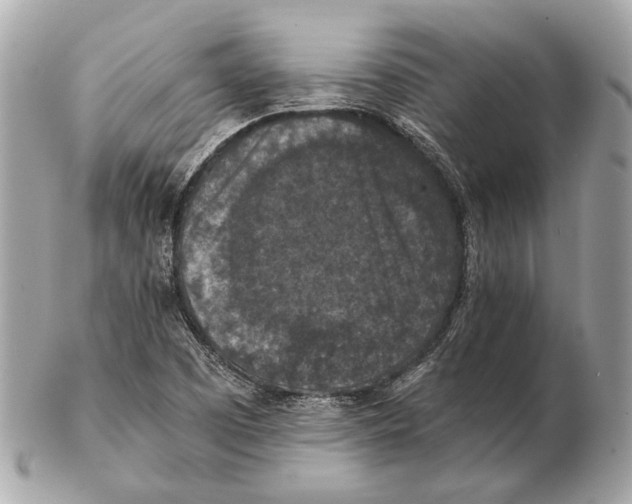 X0000102391457200808291413
